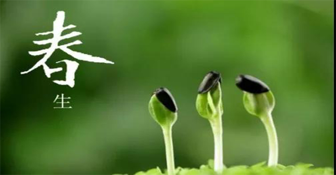 人生之道：三分是選擇，七分靠放下